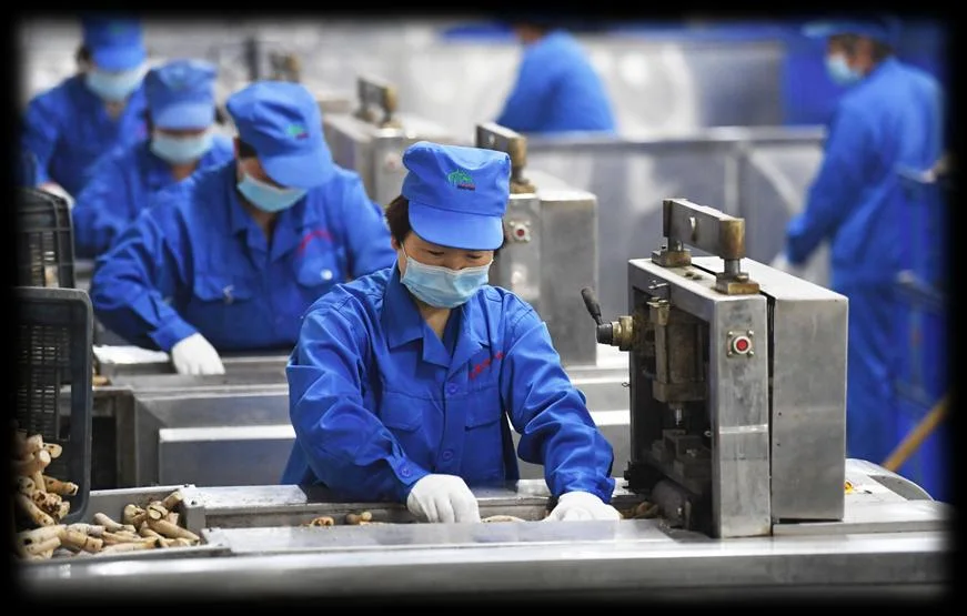中药饮片规范化生产加工场景